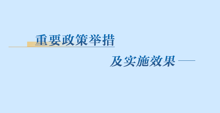 ��Ҫ���߾ٴ뼰ʵʩЧ��