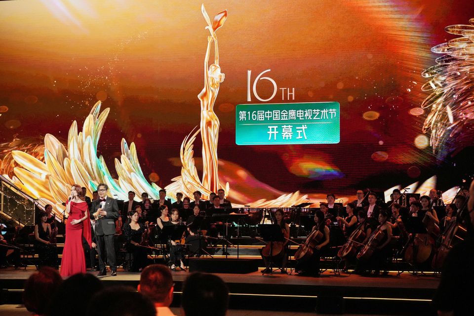 ��16���й���ӥ�����������ڳ�ɳ��Ļ