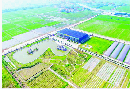 岳阳屈原管理区千年古镇龙舟鼓响 现代农业河