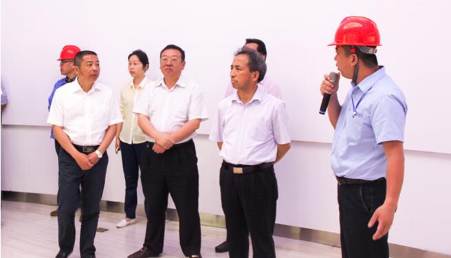 刘尧臣调研汨罗环保工作