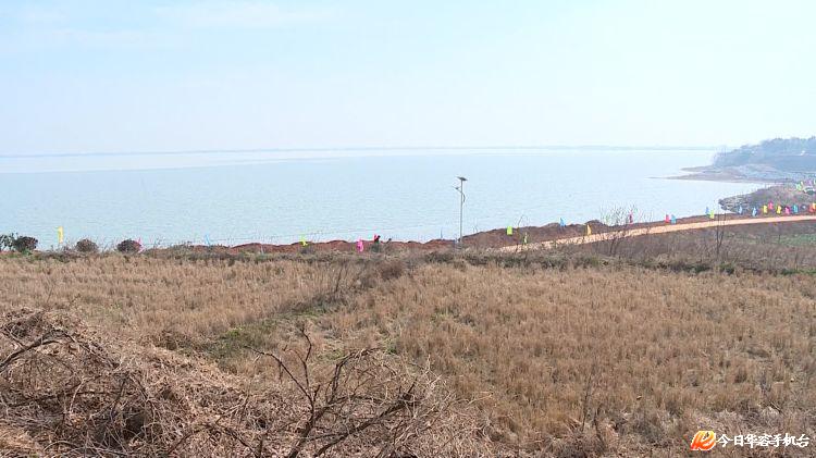 岳阳市洞庭湖生态环境专项整治三年行动计划暨