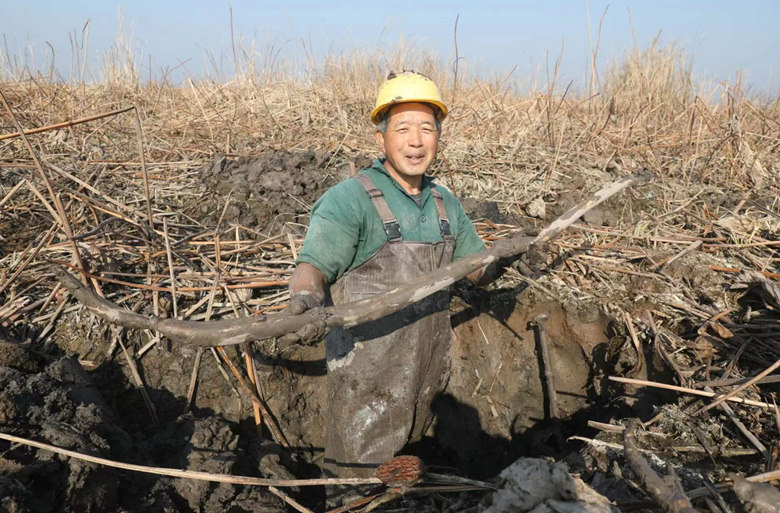 չʾ���ڵ��ĺ�ź����������