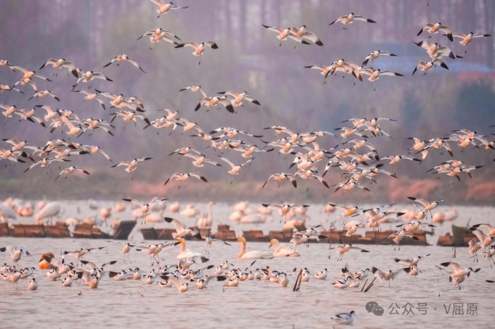 6�����������20���οͶ��ź�ƾʲô��Ȧ��Ϊȫ������ʤ��