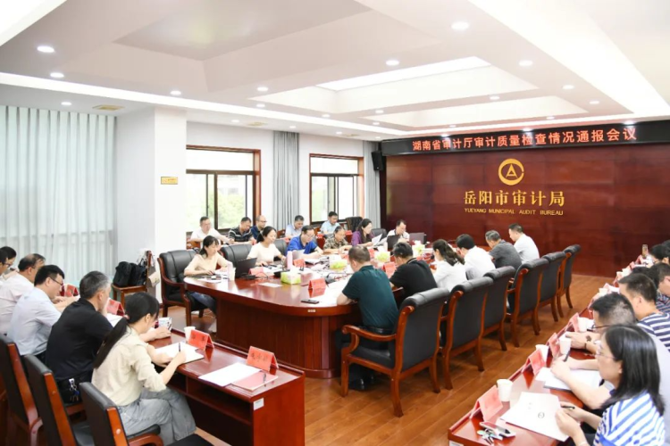湖南省审计厅对岳开展审计质量检查