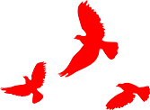 ͼƬ