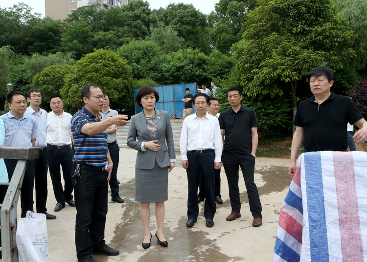 李爱武就王家河水环境治理现场办公