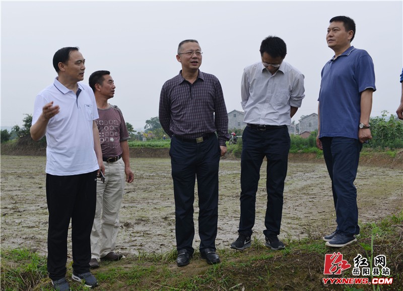 ����ɽ�����ص��С��ӳ��ơ�����