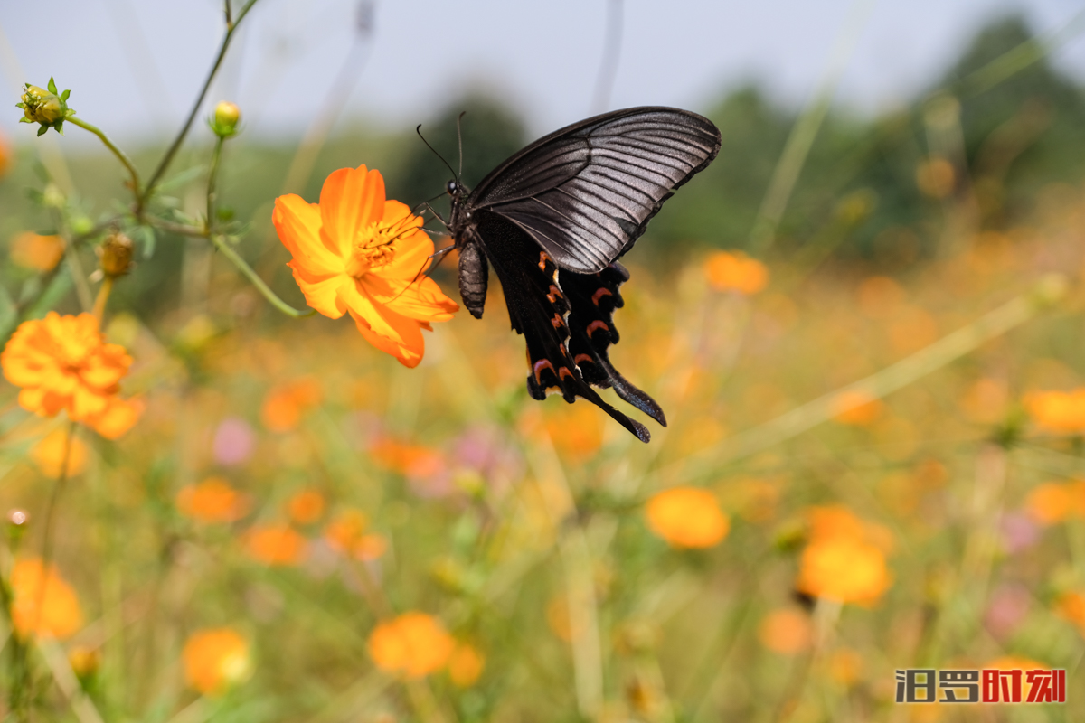 ????????????.jpg ????????????.jpg