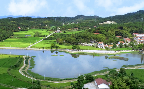 修复长江岸线生态 打造最美长江岸线 ——岳阳市委书记,第一总河长