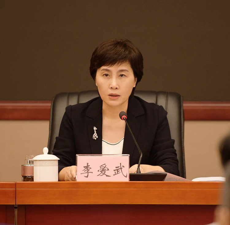 李爱武出席全市交通问题顽瘴痼疾集中整治行动电视电话会议