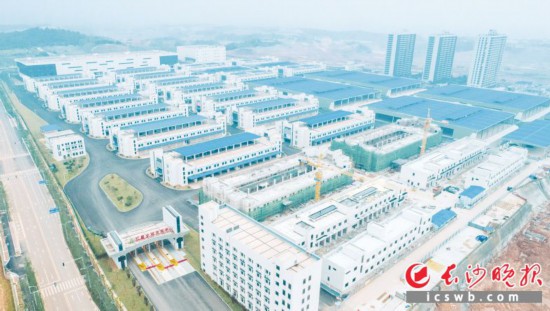 红星全球农批中心一期已基本完成建设,明年1月将开业。 长沙晚报通讯员 龙洪波 摄