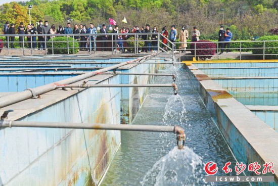 ����22�յ�ˮ�����Ż������ѧ����־Ը�ߴ�����100���˲ι��˺���ʯˮ������ˮ�������̡�ˮ�ʼ��վ���������˽�ˮ���⻥��С��Ϸ��   ��ɳ����ȫý����� ��־ΰ  ��