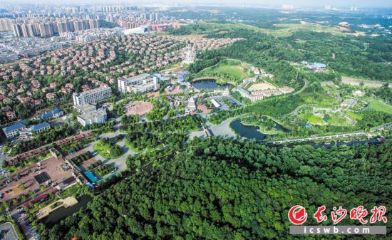 �������ⰻȻ��ĺ��Ƭ������԰��סլ���̵صȺ�г���ڣ�����һ����̬������ ��ɳ����ȫý����� �޽ܿ� ��