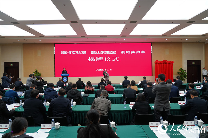 ������ʽ�ֳ������������� �ɭ��