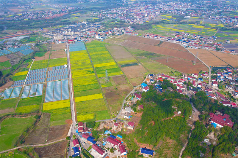 ��԰������˴��������������� �ɭ��