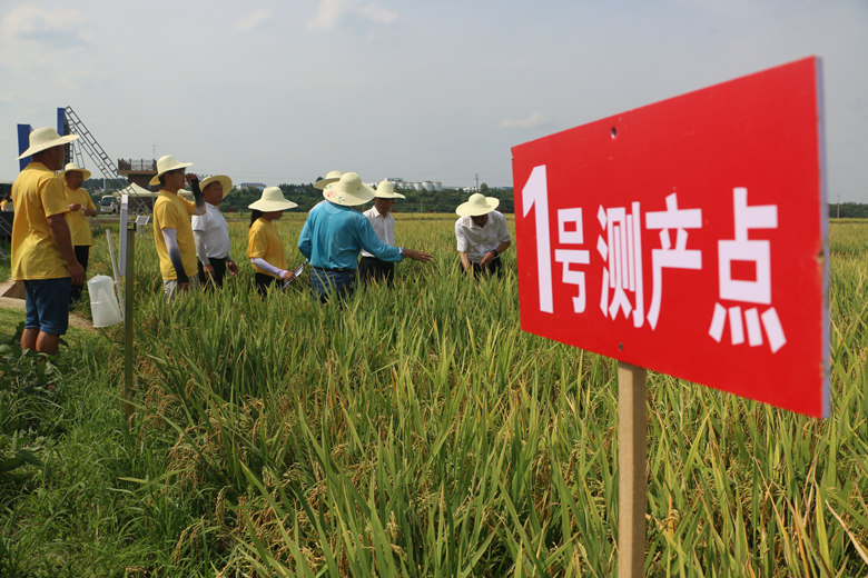 ����ֳ������������� ������