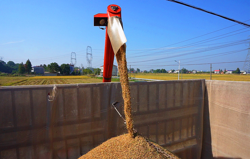 ������֡�Ҧ����