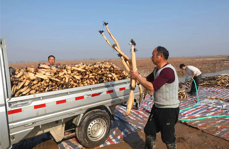 �Ѳ��ڵ��ĺ�ź������ϴ��װ������������