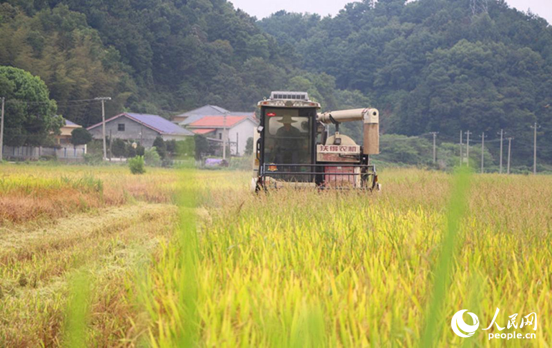 ��ɳ����������ɽ�ֵ������ո��ֳ������������� ������