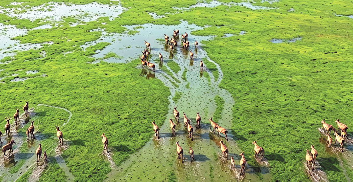 �˰��ﶴͥ�ҵļ�