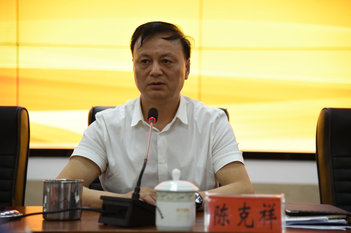 市中心城区"乔木进城,绿化增量"半年度工作讲评会召开