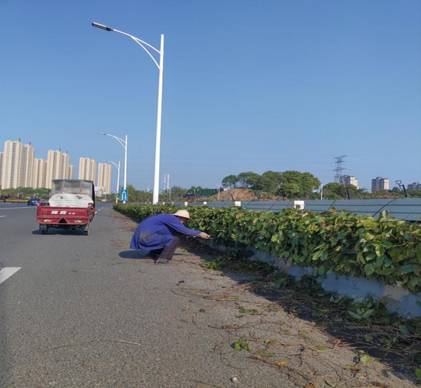 微信图片_20200414113620