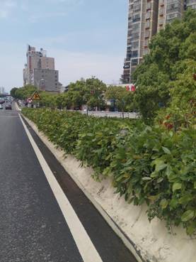 2db171ef5bda148bb6fc89391fd54c5