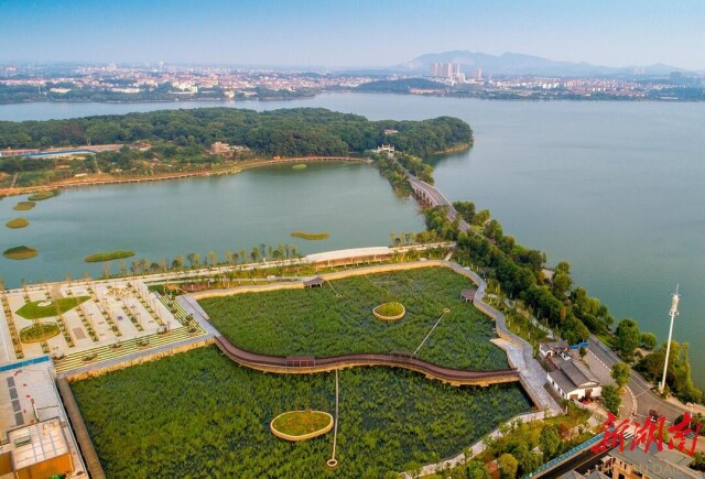 ϲӭ��ʮ�����ϸ��׼�������ǹ�ƾʲô������ʫ��Զ����