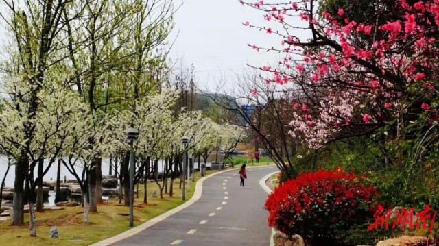 ϲӭ��ʮ�����ϸ��׼�������ǹ�ƾʲô������ʫ��Զ����