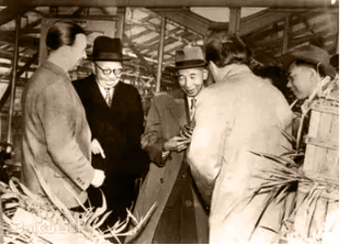 1658459768142283.png image.png