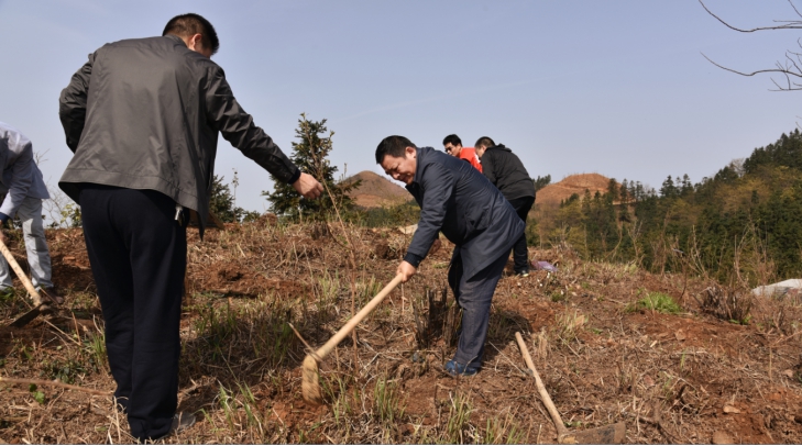 wps24E0.tmp.jpg wps24E0.tmp.jpg