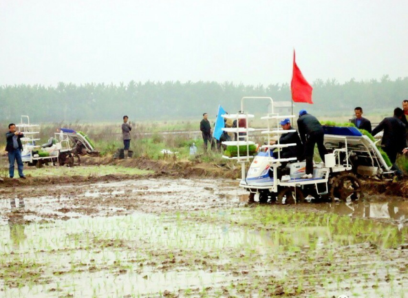 wps4C86.tmp.png wps4C86.tmp.png